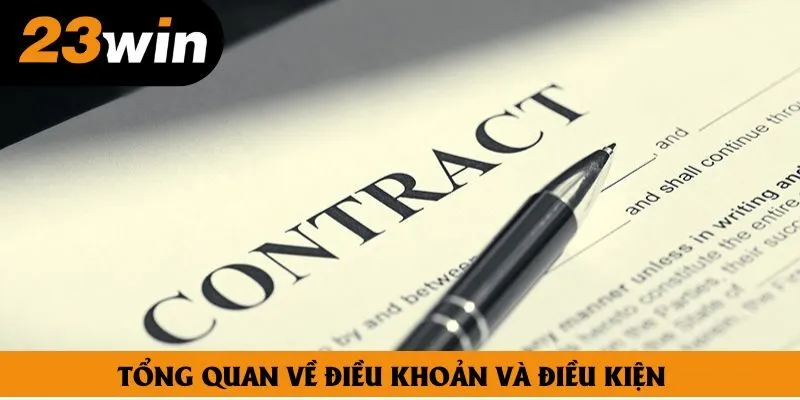 Tổng quan về điều khoản và điều kiện Tổng quan về điều khoản và điều kiện