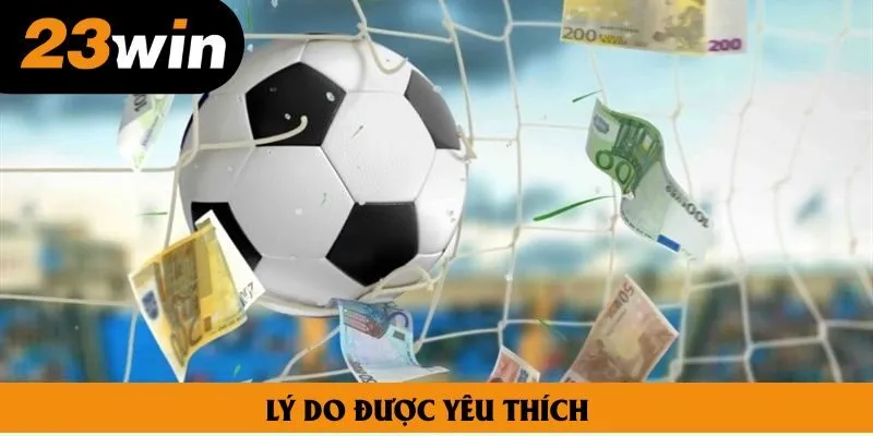 Lý do được yêu thích đông đảo trên thị trường hiện nay Lý do được yêu thích đông đảo trên thị trường hiện nay