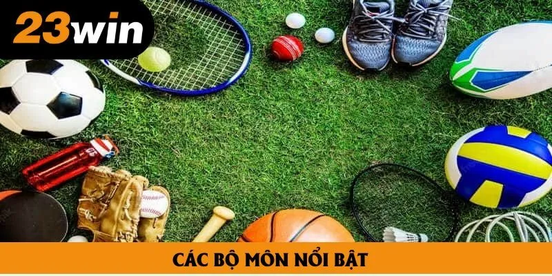 Các bộ môn nổi bật Các bộ môn nổi bật