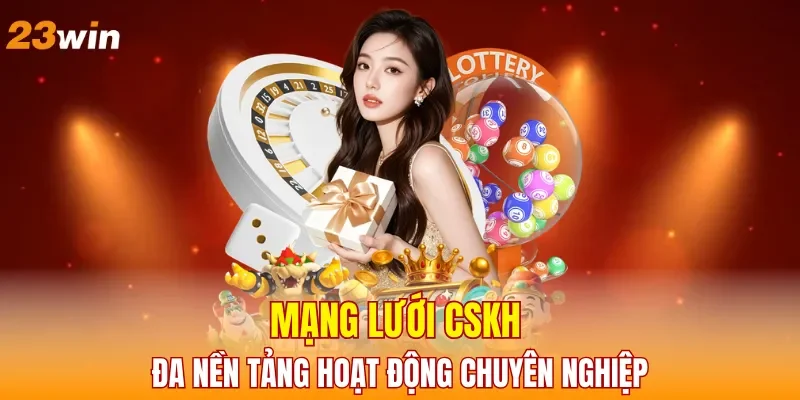mang-luoi-cskh-da-nen-tang-hoat-dong-chuyen-nghiep